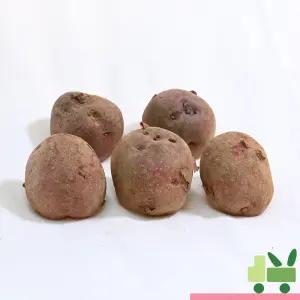 홍감자 10Kg (중)