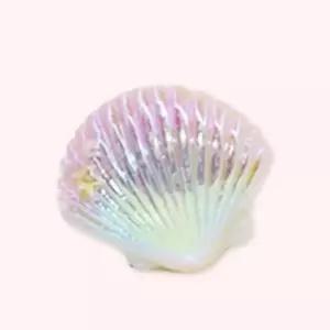 컬러 조개 장식 2조개장식-핑크 오로라 구피 이색 꾸미기 공예 껍질 물고기