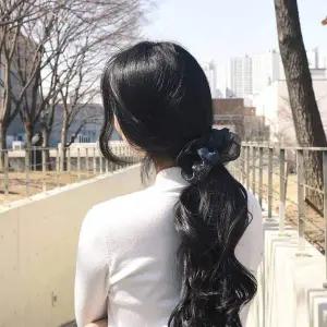 TBZ 시스루 투톤 레이스 곱창 스크런치 5Colors