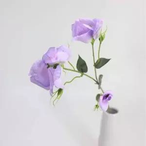 조화 보태니컬리시안_퍼플