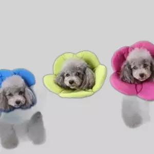 플라워 넥카라S(그린)
