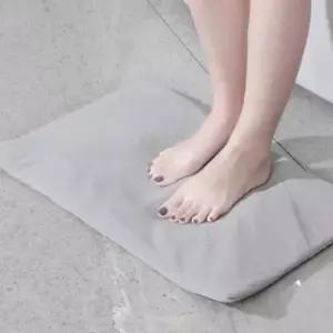 고품질 TBZ JT 빨아쓰는 규조토 발매트 L사이즈 발닦이 발닦는 화장...