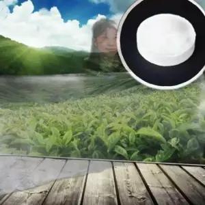 타올 수건 페이스 압축 대형 코인 타올 일회용