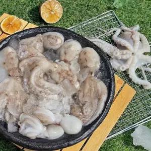 급냉 알쭈꾸미 알베기 주꾸미 1kg