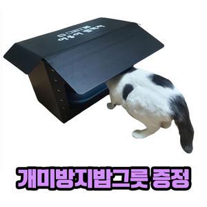 길고양이 급식소 길냥이 겨울집 하우스