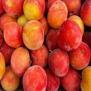 상큼달콤 자두 2kg (개당30g~40g/실중량)