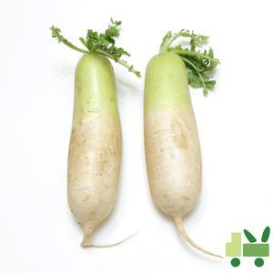 흙무 (상) 15kg