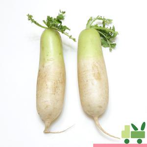 흙무 (상) 10kg