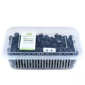 국산 블루베리 500g 팩