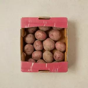홍감자 1.2kg 박스