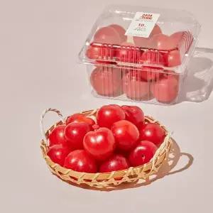 의성眞 자두 1kg 팩