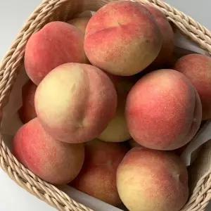 국내산 대극천 반납작 복숭아 중대과 1kg 6-7과