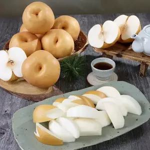 [아리팜] 맛좋은 알뜰 나주배 5kg(5~10과)