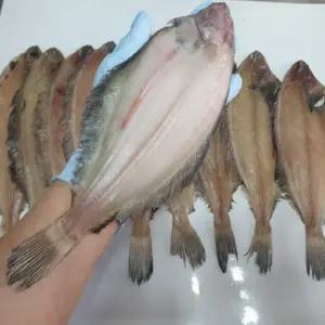 웰빙미래 국산 반건조물가자미대 기름가자미 반건조미주구리대 10마리 25~30cm내외 구이용 조림용 국산가자미