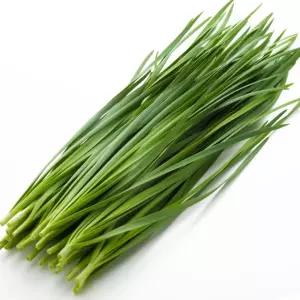 국내산 부추 (특) 4kg 2박스