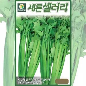 새론 셀러리씨앗 3000립 다수확 쌈채소 샐러드용 샐러리씨 종자