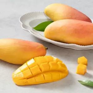 [달가] 마하차녹 무지개망고 2kg(4~6입) / 태국망고