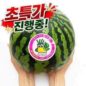 고당도 스테비아 수박 8kg 이상 꿀수박 여름 제철 특가