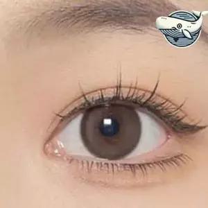 [콩심팥심]내추럴 인조 속눈썹 볼륨 아이래쉬 속눈썹 데일리 메이크업 파티