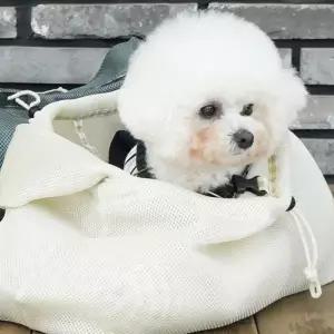 이동가방 파스텔 아이보리 애견 반려견 강아지 슬링백 반려동물