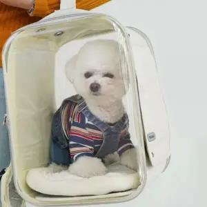 이동가방 강아지산책가방 고양이 애견 이동 강아지외출 강아지