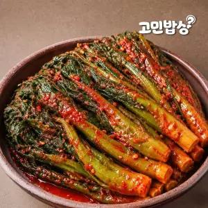 전라도 여수 돌산 갓김치 10kg 국내산 산지직송