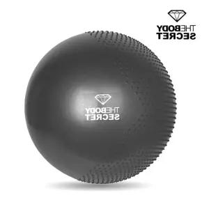 전문가용 헬스용품 홈트 짐볼 쿨그레이 마사지 더블 65cm