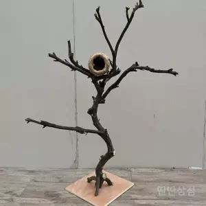 새놀이터나무 횟대 횃대 조류 장난감 앵무새 잉꼬 둥지 그네 대형 사다리 새집