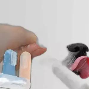 강아지 실리콘 투명 손가락 칫솔 3P 치석 고양이 양치