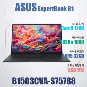 ASUS ExpertBook B1 B1503CVA-S75788/NVMe SSD 1TB(교체)/WIN11설치/램32GB