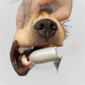 강아지손가락칫솔 강아지칫솔 애견 소형견 대형견