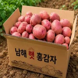 꿍이네 남해 햇 홍감자 2kg 포슬포슬 분질감자 왕특 특 대 중