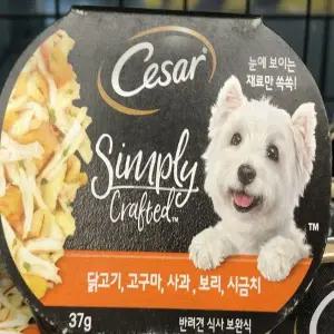 반려견 고단백 식사 자연 원재료 37g 고양이용 소형포장 간식