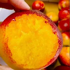 [50박스한정] 유명산지 신선복숭아 2kg 중대과(로얄과) 프리미엄 정품
