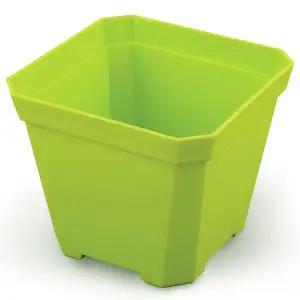 미니 사각 화분 그린 10x10cm 다육이 플라스틱화분