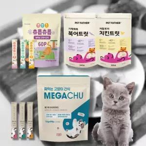 거부감없는 맛있는 고양이 간식 츄르 동결건조 트릿 선택