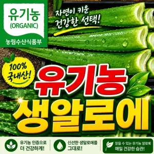 친환경 유기농 생알로에 알로에베라 사포나리아 2kg 알로에생잎 1박스