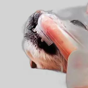 강아지 고양이 칫솔 양치 손가락 실리콘 제거