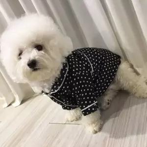 추천 깔끔한 소프트 강아지옷 땡땡이 파자마 잠옷