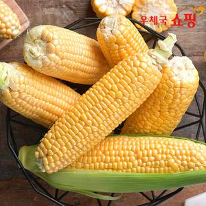 [우체국쇼핑]과일처럼 달콤한 초당옥수수 5개 10개 20개