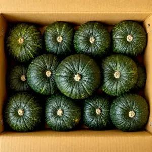 [제주농가] 포슬포슬 제주 미니밤호박 3kg 정품 로얄과 6-10과내외 박스포함 단호박