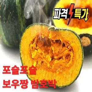 제주 보우짱 밤호박 미니단호박 특품 로얄과 2kg 3kg 5kg