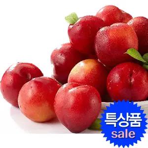 자두 2.5kg 중대과(70g내외) 특품 대석 당도보장 선물용