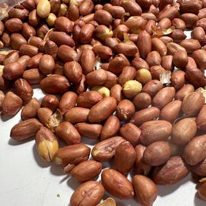 볶음 땅콩 1kg / 땅콩 구운 볶은 안주 간식 견과류