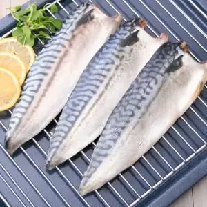 순천만수산 노르웨이 고등어 160-180g x 20팩