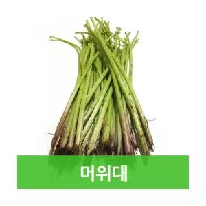 싱싱한 햇머위대4kg 웰빙푸드 싱싱지오