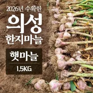 2026년산 의성마늘 햇마늘 1.5kg 마늘 농사 3대째
