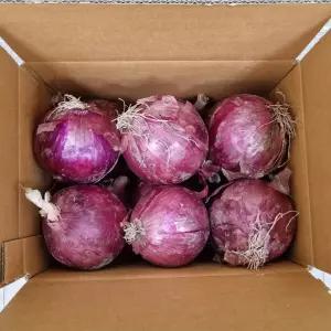 잘 말려 단단한 빨간 양파 3kg (중대혼합) 2026년