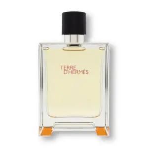 에르메스 떼르 데르메스 EDT 100ml