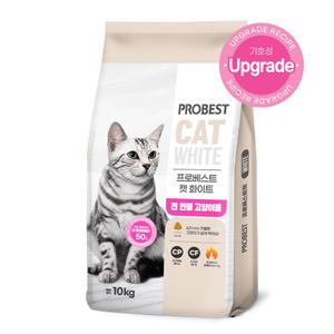 프로베스트 캣 화이트10kg